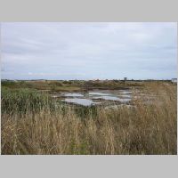 Sallines 1.jpg
